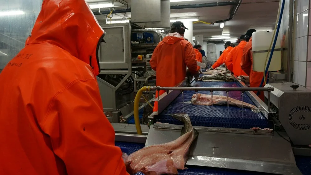 Brødrene Sperre norsk industri