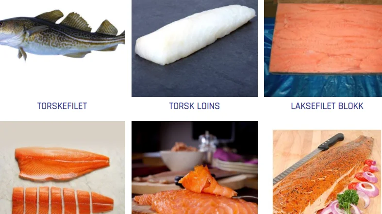 Bilde 2022 02 21 093755