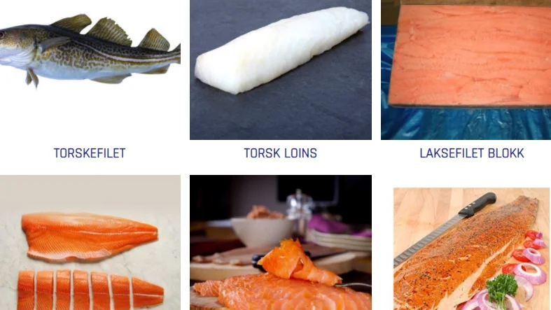 Bilde 2022 02 21 093755