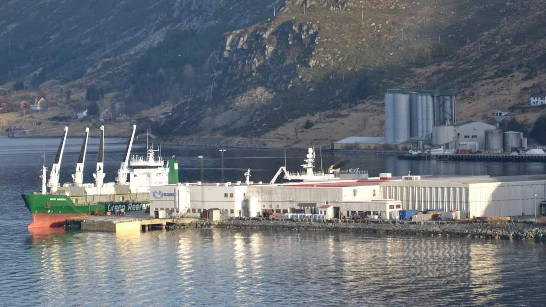 Pelagia til sak for aa stoppe Stang og Tunold