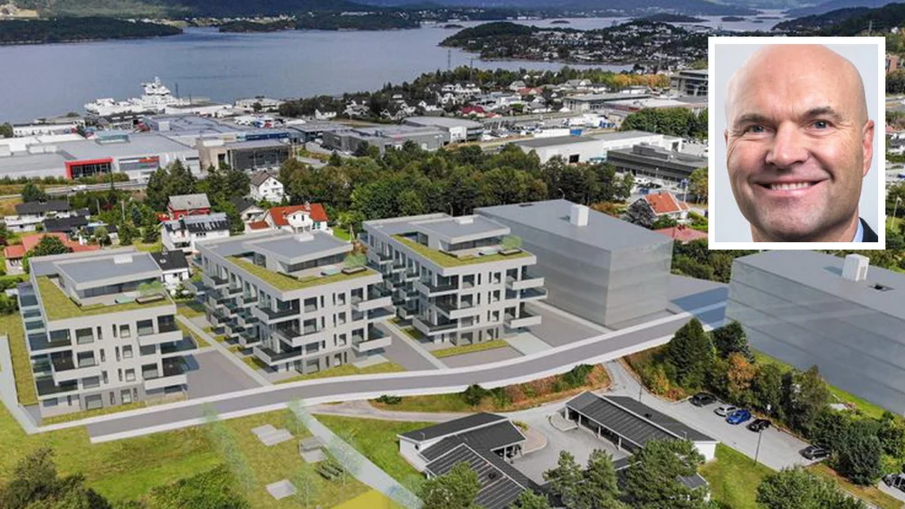 Mostein innfelt steinar lausund helse moa illustrasjon mostein 11