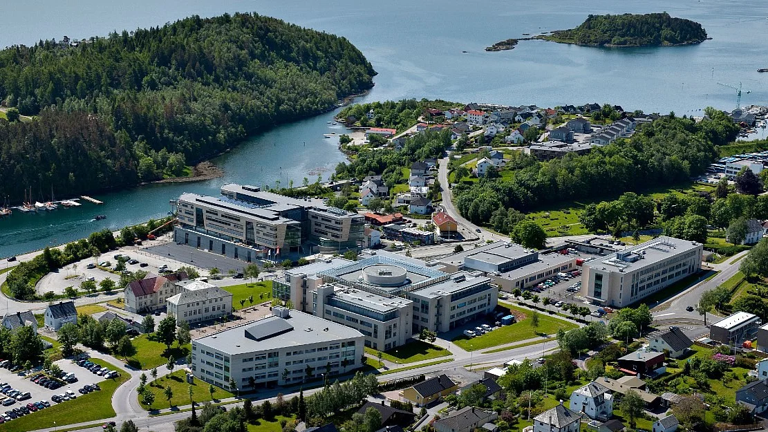 Naeringslivet bruker ikke sykkel