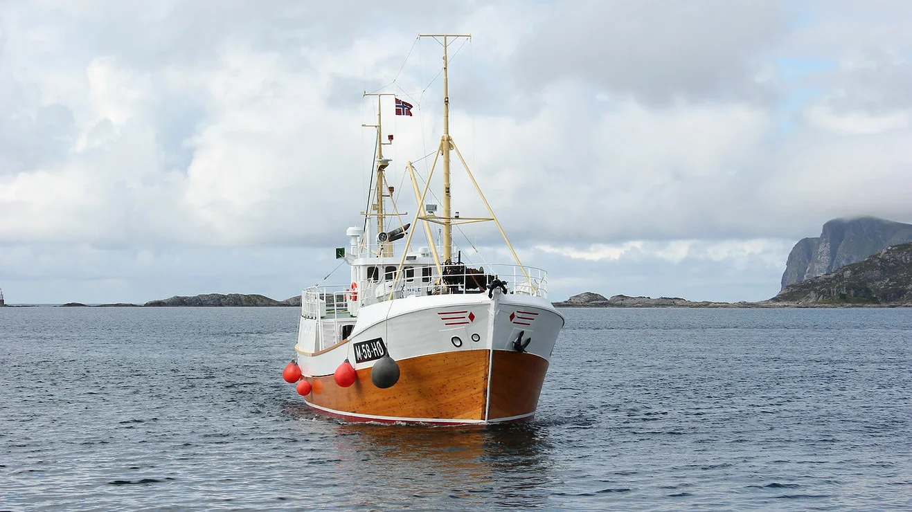 5025ec 66813b96ba064102a3ea79691e5182c3