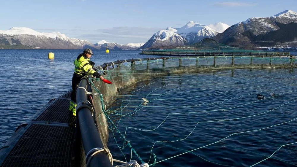 En havbruksforvaltning rigget for framtiden