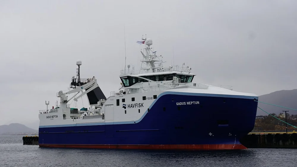 Ein fiskar sular opp