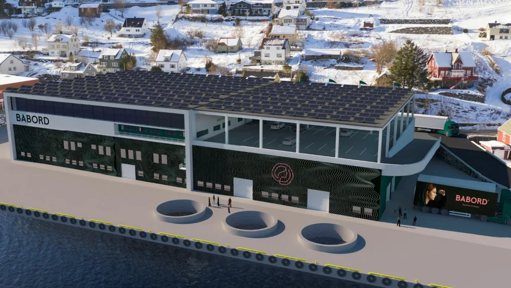 Babord framtidsplaner