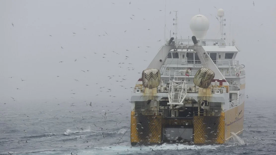 Arktis trenger formell beskyttelse