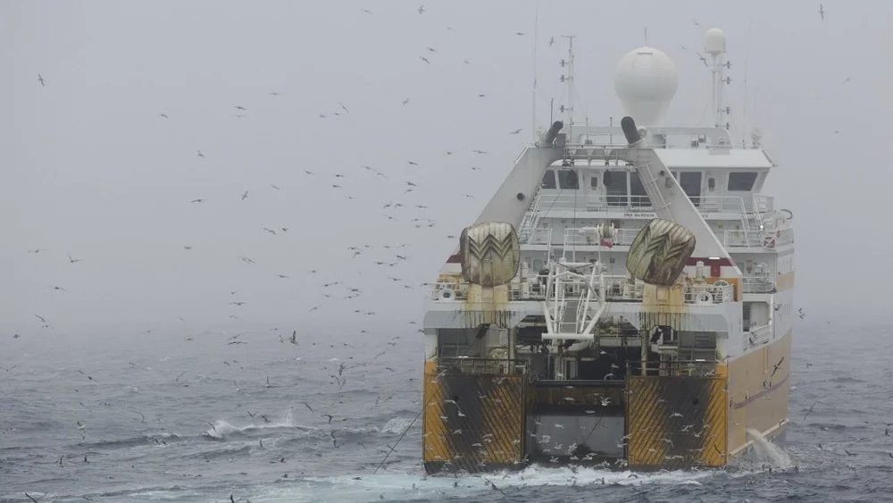 Arktis trenger formell beskyttelse