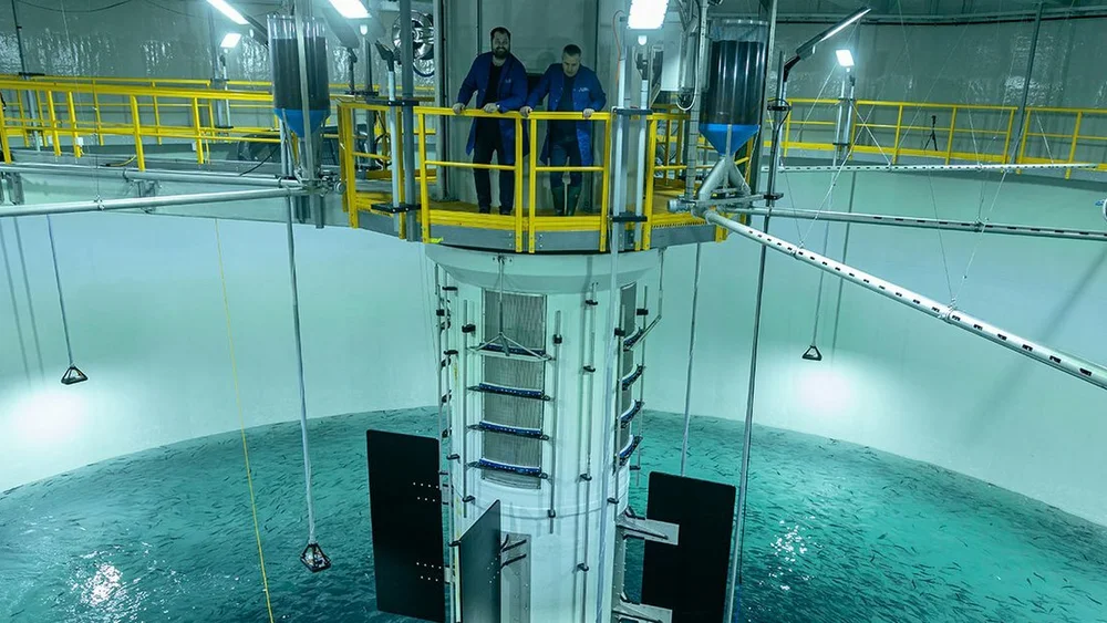 First smolt release March22 09