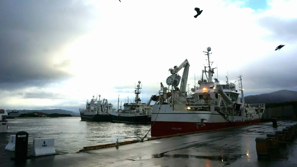 Fiskebåtar i ålesund foto ogne 11
