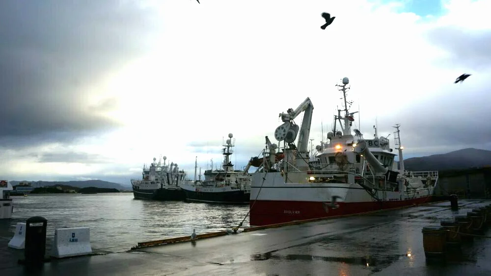 Fiskebåtar i ålesund foto ogne 11